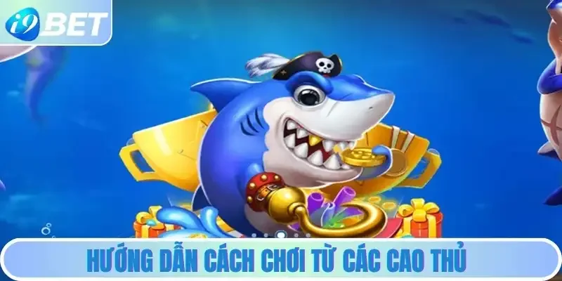 Hướng dẫn cách chơi từ các cao thủ Hướng dẫn cách chơi từ các cao thủ