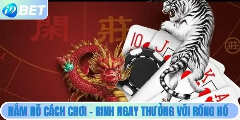 Dễ dàng rinh thưởng với cách chơi rồng hổ đơn Dễ dàng rinh thưởng với cách chơi rồng hổ đơn