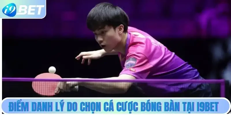 Điểm danh các lý do nên chọn cá cược bóng bàn tại i9bet Điểm danh các lý do nên chọn cá cược bóng bàn tại i9bet