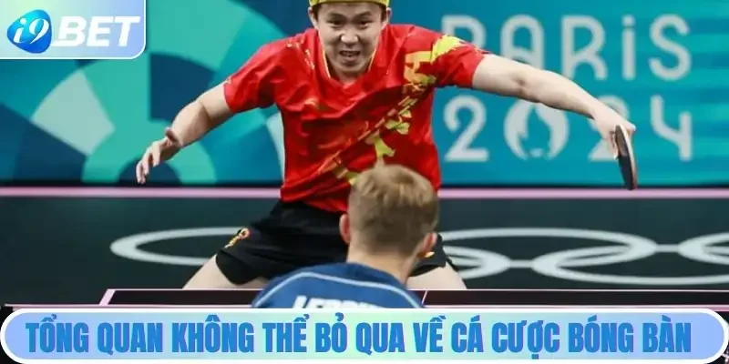 Tổng quan không thể bỏ qua về cá cược bóng bàn Tổng quan không thể bỏ qua về cá cược bóng bàn