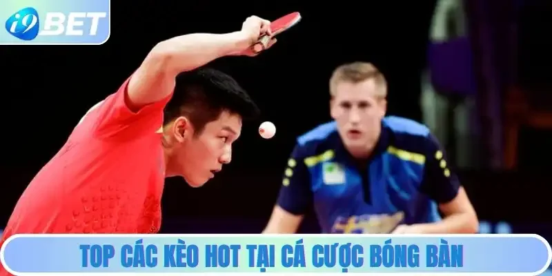 Top các kèo hot tại cá cược bóng bàn Top các kèo hot tại cá cược bóng bàn
